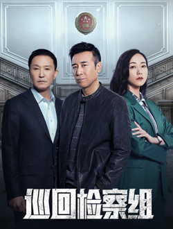 巡回检察组tv版